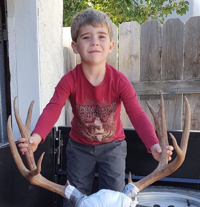 Bogue deer